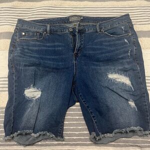 TORRID | Bermuda Shorts | EUC | Plus Size 20